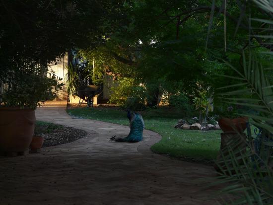 El Dorado Farm Visits