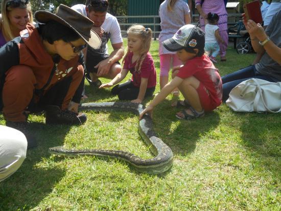 Armadale Reptile Centre