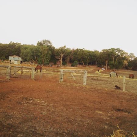 Langford Hill Riding Farm