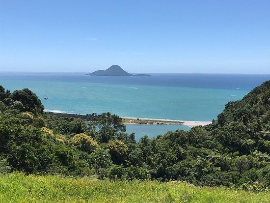 Kohi Point Lookout