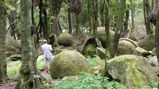 Whitecliffs Boulders