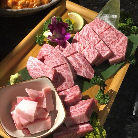 Shoya - Chaoma Store