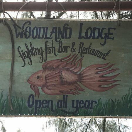 Fighting Fish bar & Restaurant