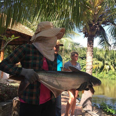 Yen Nhi Nguyen Restaurant