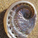 L'Antico Forno Chillemi