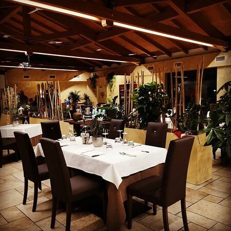 Mc Marin's Ai Thebris