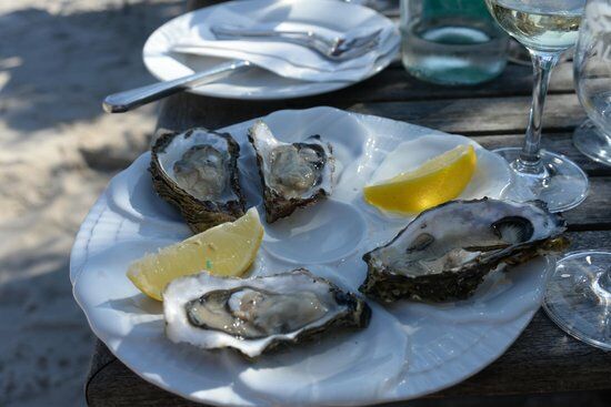 Dittmeyer's Austern-Compagnie