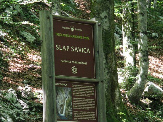 Okrepcevalnica Savica