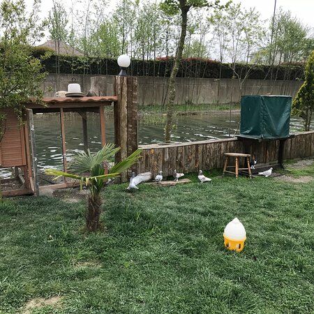 Ehlikeyf Cafe Canlibalik