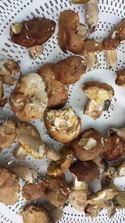 Auberge La Savoyarde