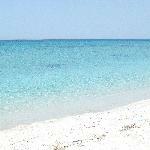 Campanile Les Ulis Restaurant