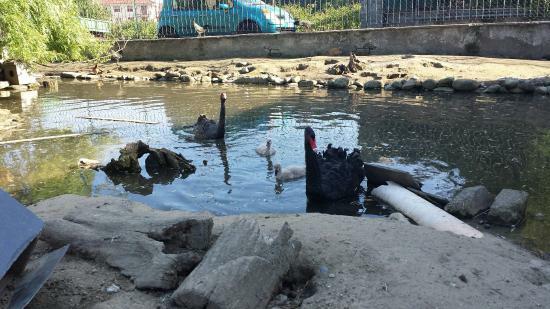 Agriturismo del Molino di Luca Bertotto