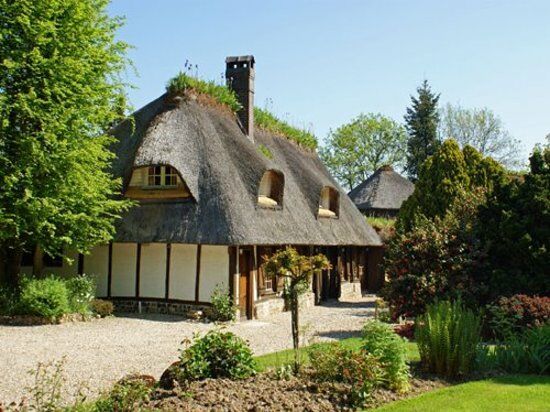 Le Petit Coq aux Champs