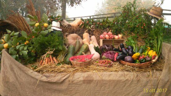 Agriturismo Taglio del Re