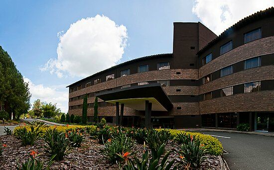 Restaurante Hotel Movich Las Lomas_Saman