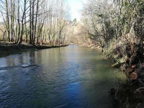Multiservicio Rural El Mijares
