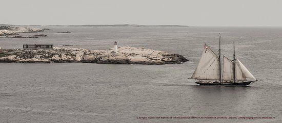 Sou'Wester Gift & Restaurant