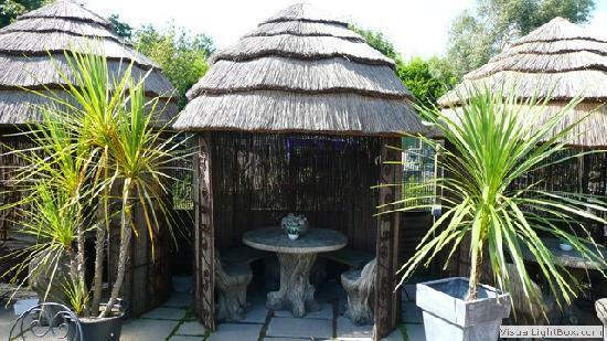 Petal-a-Pot Tea Room & Bistro