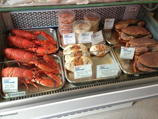 Boscastle Fishing Company