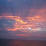 Freebirds World Burrito