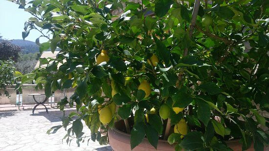 L'Agriturismo Colle Marozzo