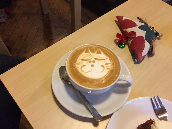 Kocia Kawiarnia Kociarnia