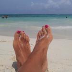 Restaurant Bar Tea-Room Portico