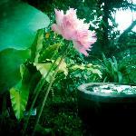 Auberge du Pont de Costet