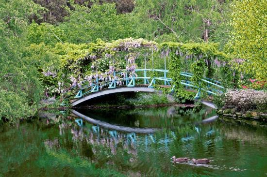 Gardens of Tieve Tara