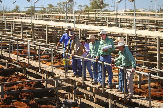 Roma War Memorial Heroes Avenue