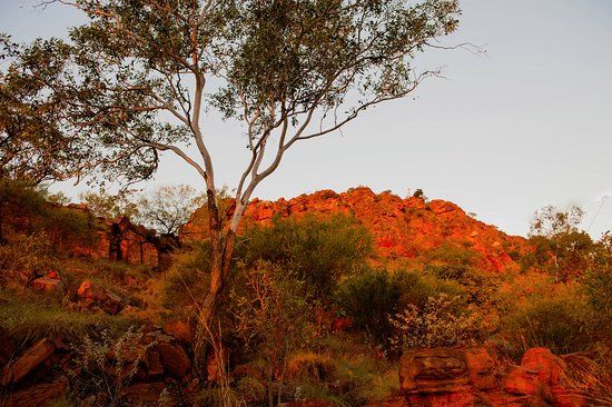 Kelly's Knob Lookout