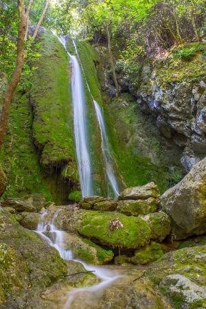 Waterfall of the Vine