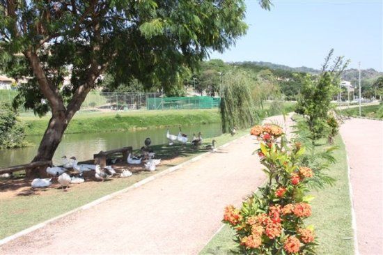 CLT - Ayrton Senna da Silva