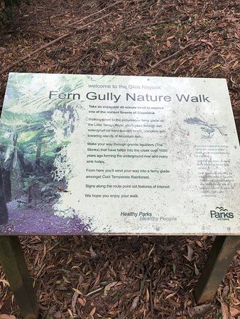 Glen Nayook Rainforest Walk