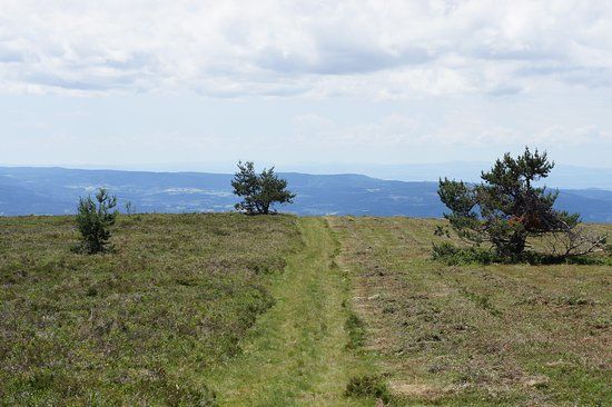 Parc Naturel Régional Livradois-Forez