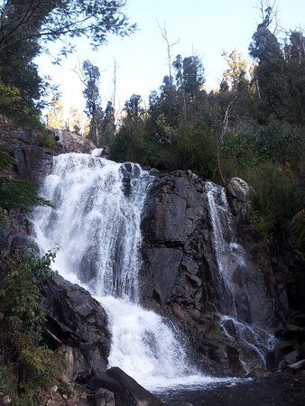 Marysville State Forest