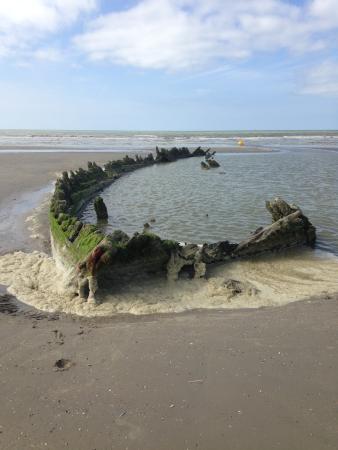 Réserve naturelle nationale de la dune Marchand