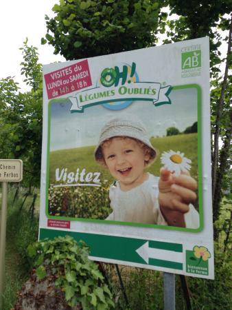 Oh Légumes Oubliés