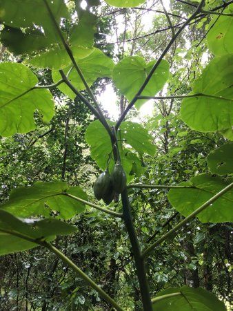 Polygon A Ecological Reserve