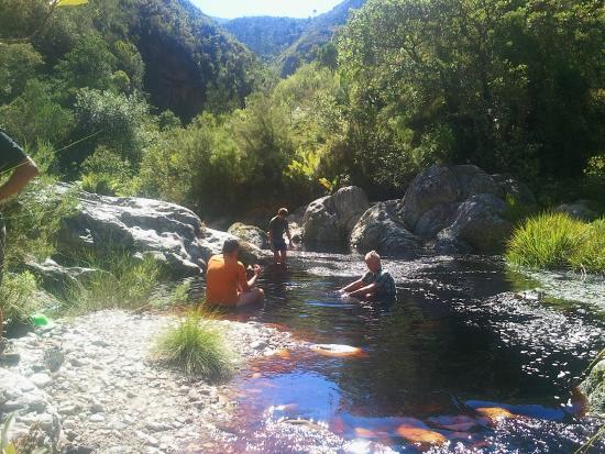 Grootvadersbosch Nature Reserve