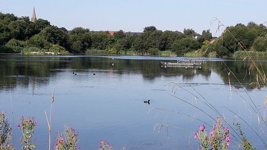 Blackleach Country Park