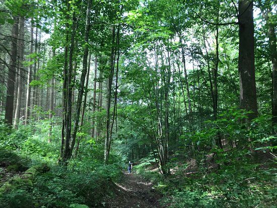 Domaine Provincial de Mirwart