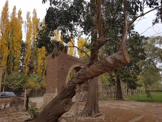 Bodega Museo La Falda