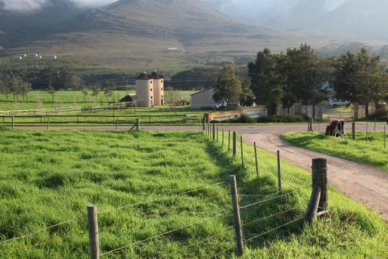 Klein River Cheese Factory