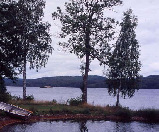 Rössjön