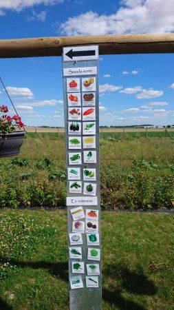 La Cueillette de la Pompelle