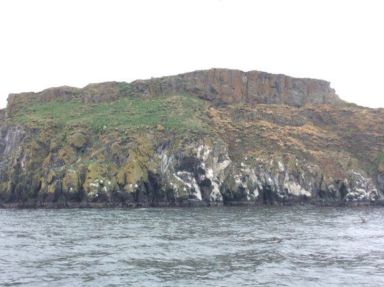 Grimsey Island Drangsnes