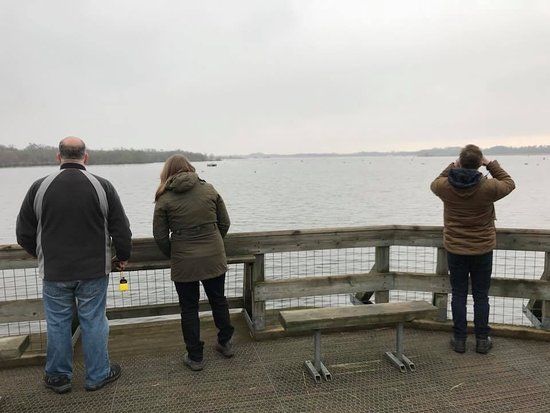 Barton Broad Boardwalk