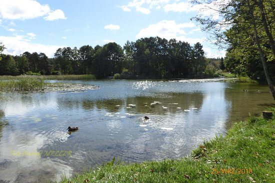 Sanktuarium Matki Bożej Studzieniczańskiej