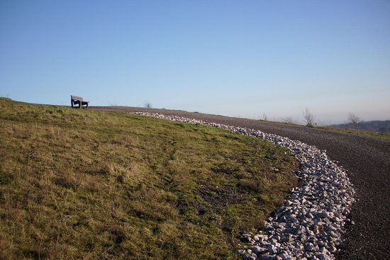 Gedling Country Park